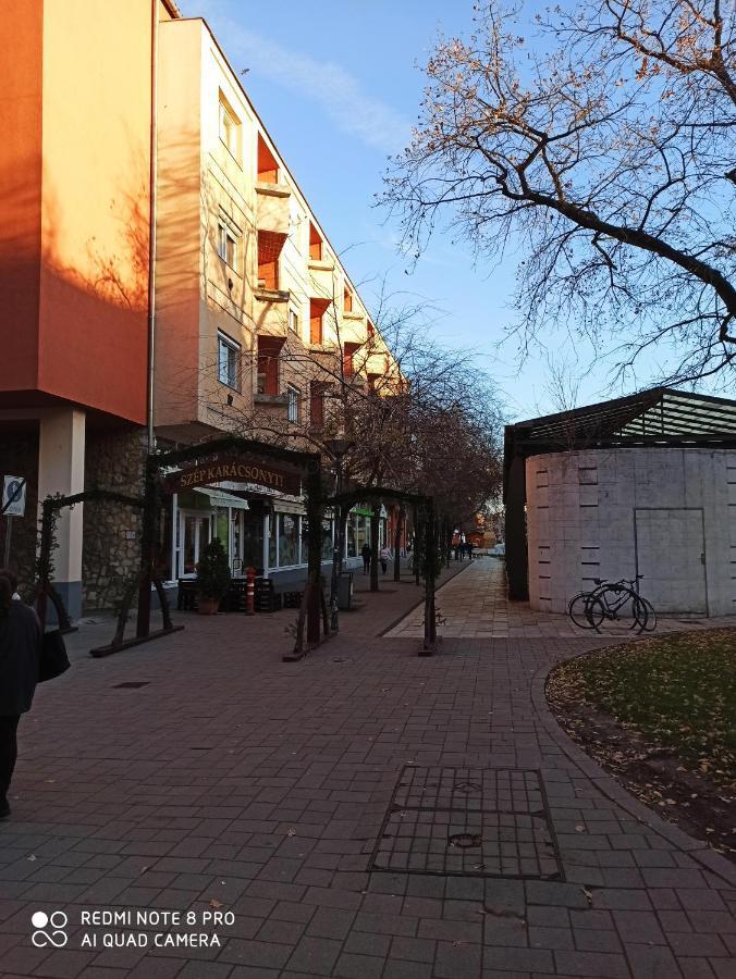 Centrum 2 Apartman 索尔诺克 外观 照片
